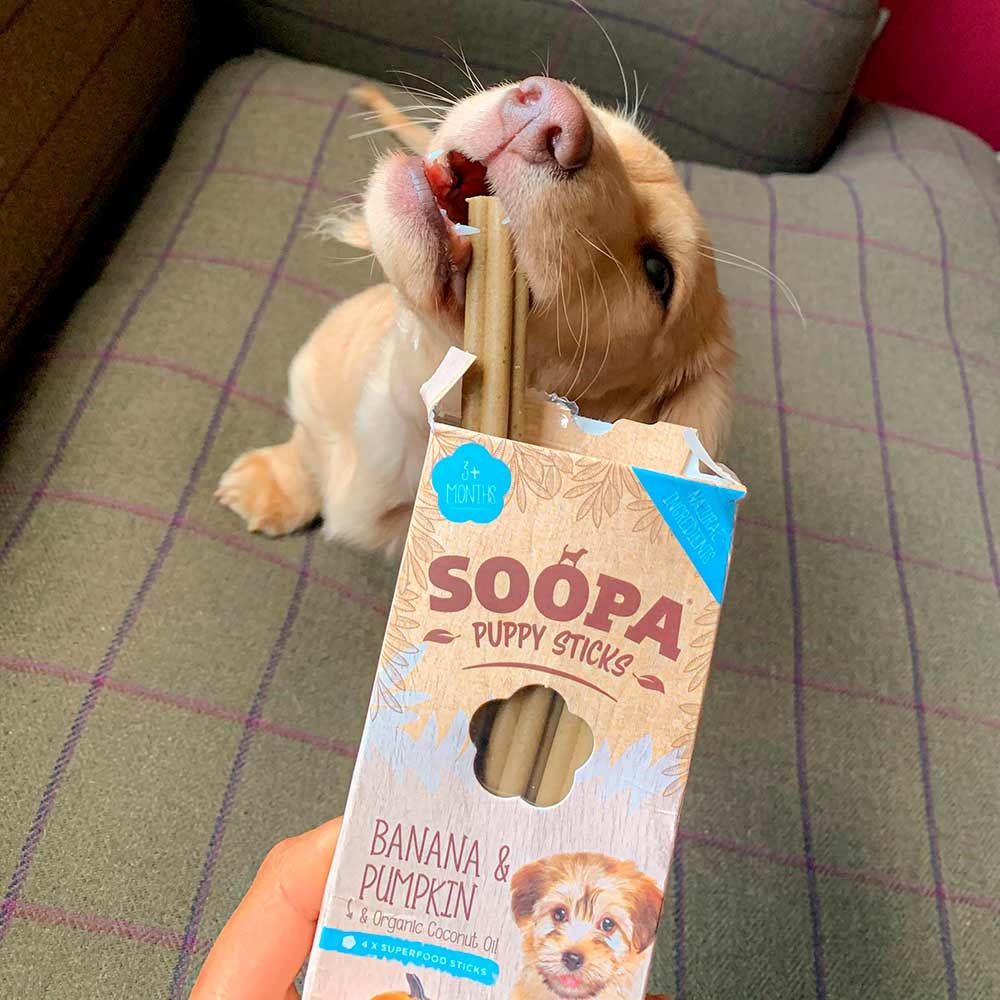 Soopa Vegansk Hunde Snack Banana & Pumpkin Puppy Dental Sticks